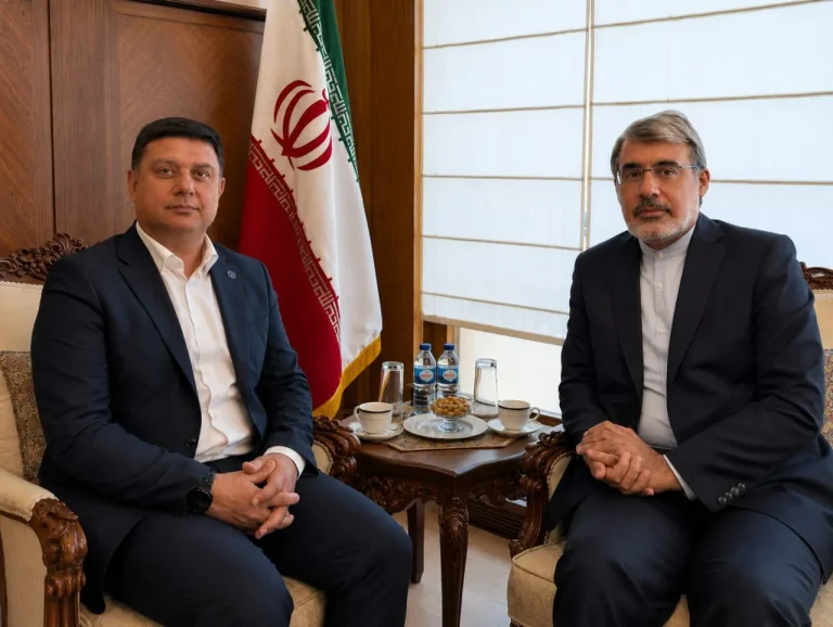 همکاری‌های بین‌المللی